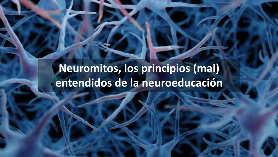 <strong>Neuromitos, los principios (mal) entendidos de la neuroeducación</strong>